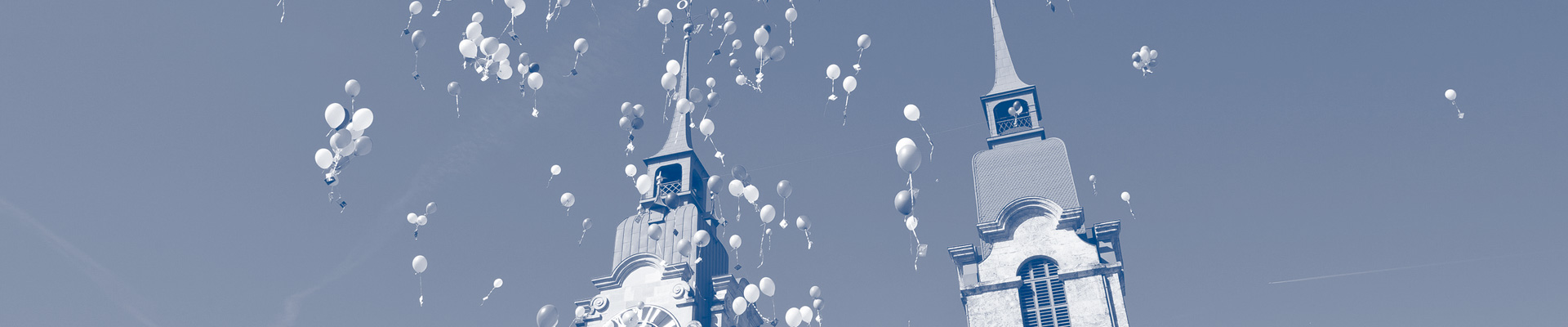 Swiss Wealth Consulting AG